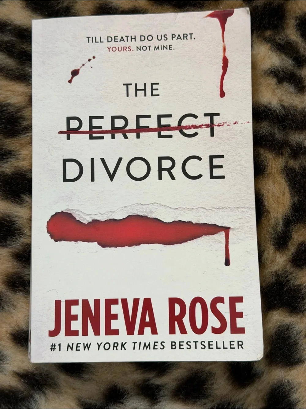 The Perfect Divorce